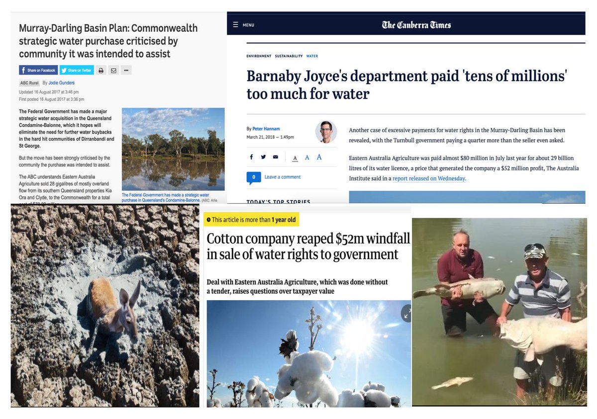 SchoonerLita's tweet photo. #RonniSalt Money For Nothing
(and your tricks for free) #MurrayDarling #Menindee #MDBA #auspol #TheBarnabyfiles #fishkill
https://t.co/EefX0RtSTg https://t.co/SyHw4JUd23