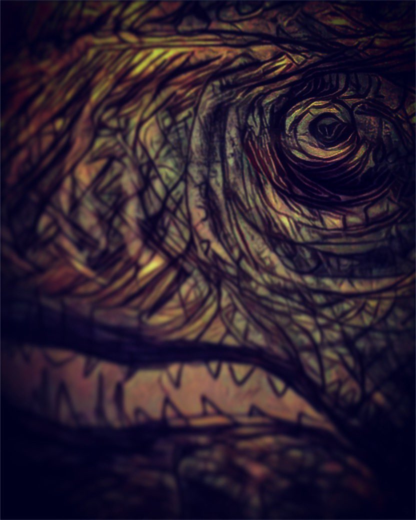 The Jayman Show tweet media