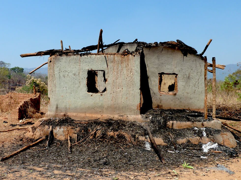 tree_savers's tweet image. Animals and trees are not the only ones negatively affected by deforestation—villages full of life are burned down along with the trees to make room for big corporations to profit off cash crop agriculture.

Photo courtesy of RIPPLE Africa