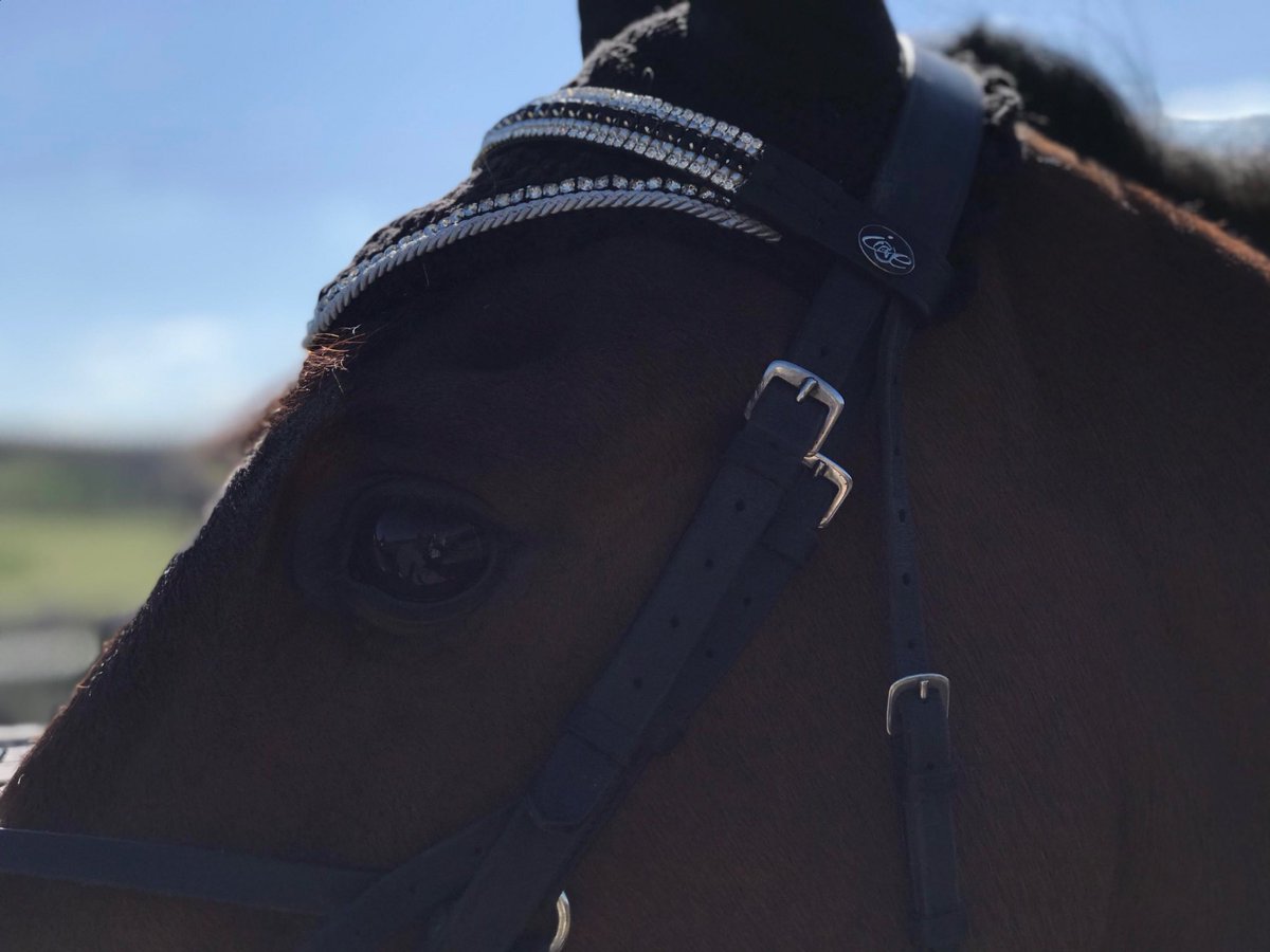AwShowjumper's tweet photo. Alarm set🚨up and out at 6am for my very first @BritShowjumping comp😬nervous but excited at the same time! Thought I’d share some photos of my bday gifts🎁 @redequestrian13 @IceEquestrian #birthdays #showjumpingpony #britishshowjumping #wearitwithice #redequestrianltd #Sponsored https://t.co/11IPyuxWHY