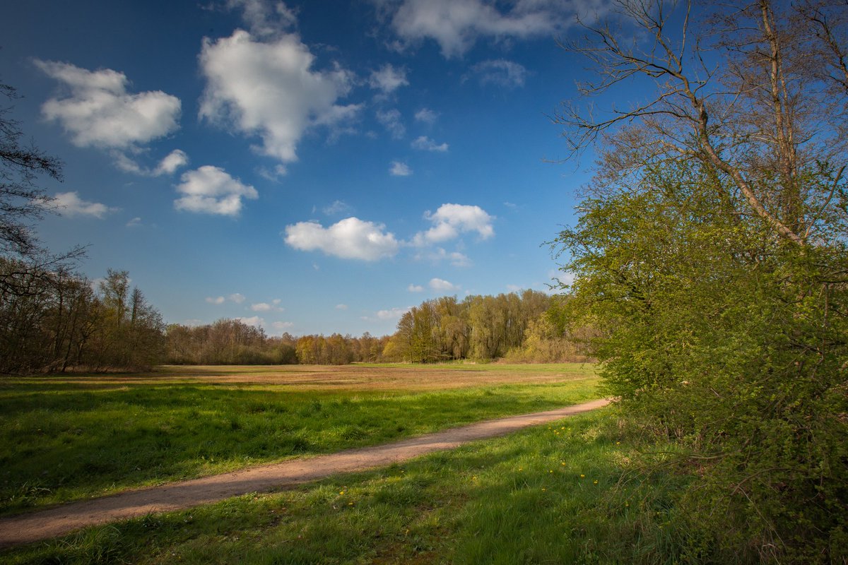 wilcovanderlaa1's tweet photo. Natuurgebied de #baggerputten #slochteren #staatsbosbeheer https://t.co/qMeC7yLCfJ