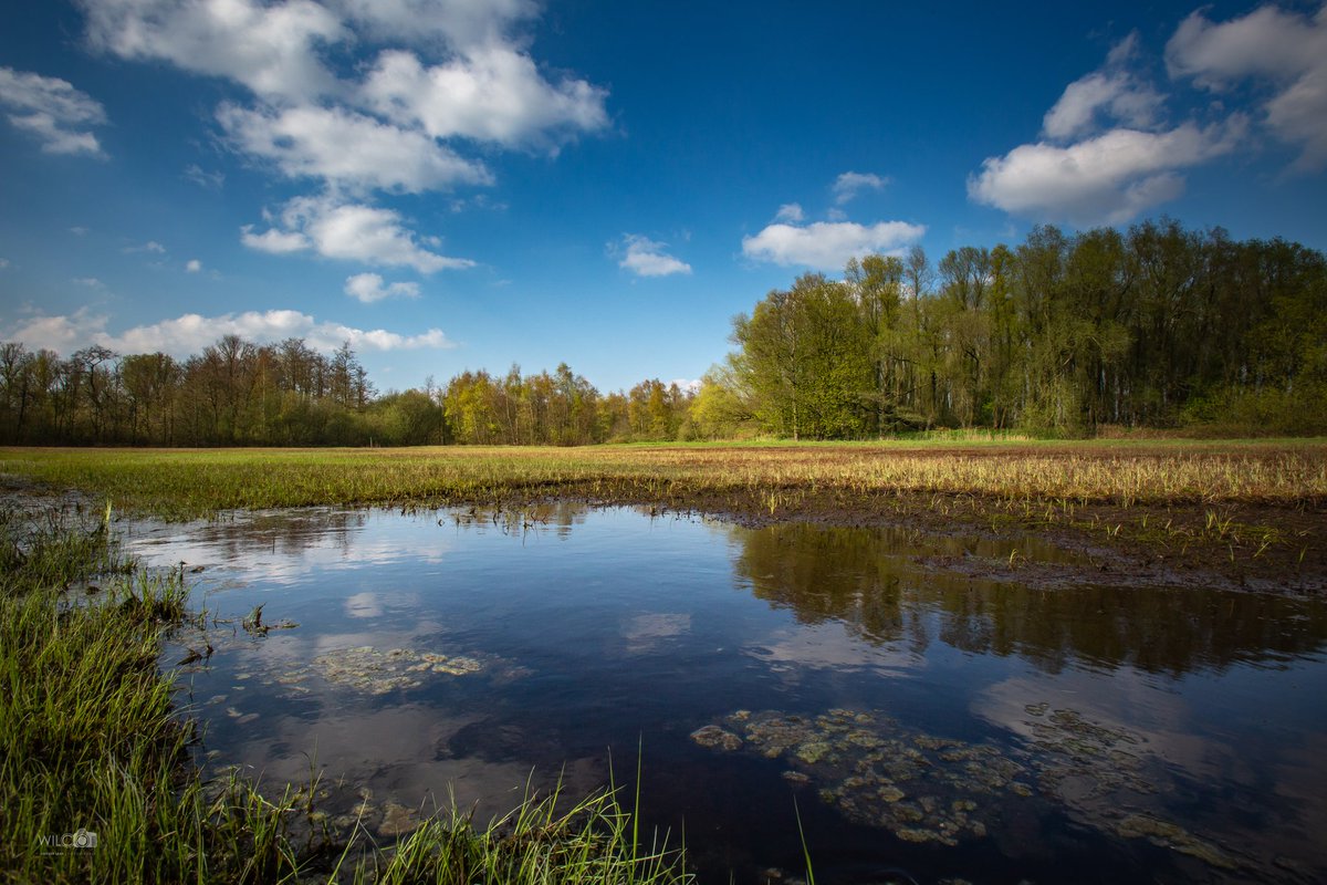wilcovanderlaa1's tweet photo. Natuurgebied de #baggerputten #slochteren #staatsbosbeheer https://t.co/qMeC7yLCfJ