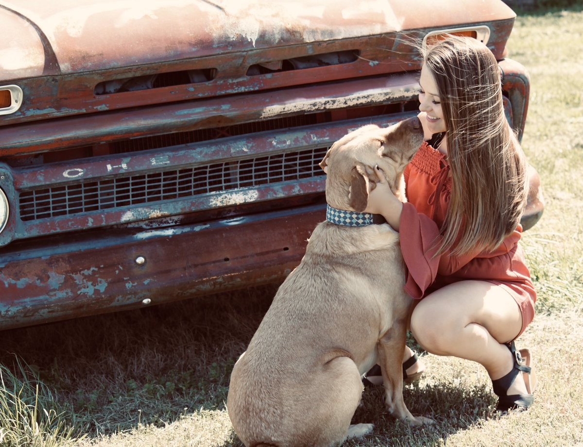 HorneckerBaylee's tweet photo. He is the definition of a perfect dog.<3 https://t.co/atIpYdqWBu