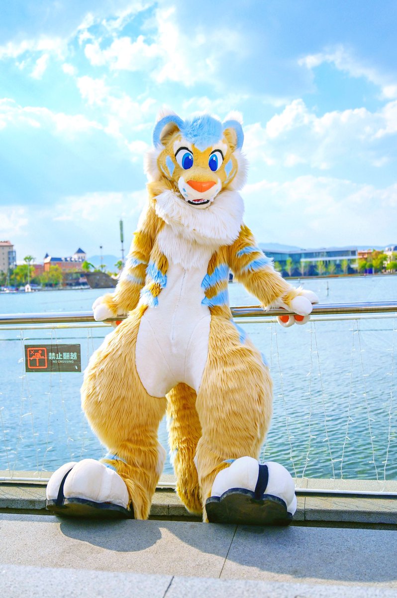 TigerYoi's tweet image. Forward this Kitty, you will spend a magical happy #FursuitFriday ✨