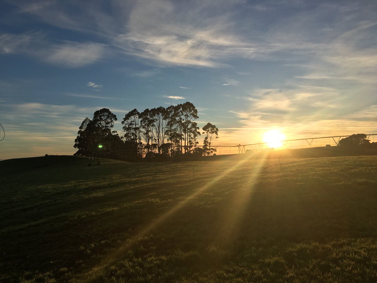 pastureio's tweet photo. Since daylight savings, we’ve been getting up half an hour earlier to keep the calves happy.
Makes for some beautiful (but cold) mornings like this one!
-
-
-
#pastureio #sustainabledairy #regionalaus #farmwithease https://t.co/3KCw0WFMGF