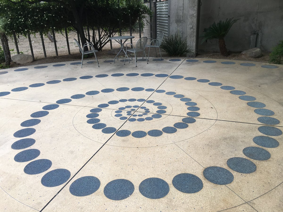 PhxLibrary's tweet photo. Discover a different @PhxLibrary location this spring! πΈπ #mesquitelibrary is a hub for north Valley residents. Open every day except FRI. πΌ https://t.co/49MHH0O0qt #paradisevalleymall #willbruder #richard+bauerarchitecture #phoenixpubliclibrary #phx https://t.co/YOWHC9jGe6