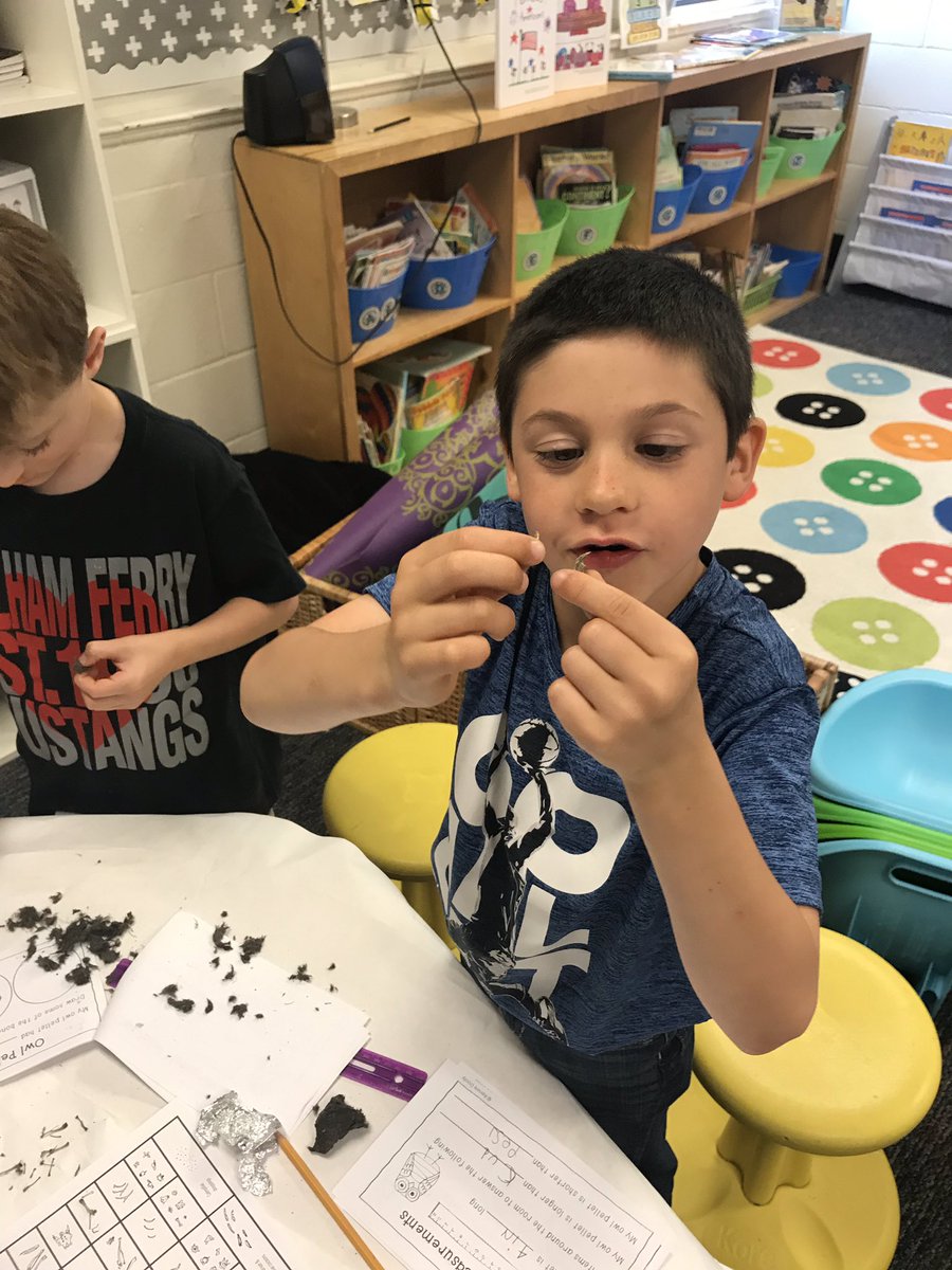 valmgreer's tweet photo. Dissecting owl pellets was a hit! We found skulls, ribs, legs, hips and jaws from al types of small animals. #stem #1stGrade @CFESmustangs https://t.co/TYkr73Nasw