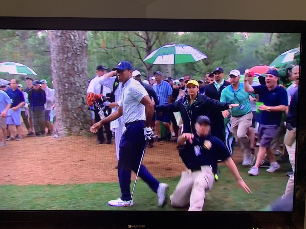 terry_bramwell's tweet photo. @GCTigerTracker https://t.co/mgaWF6NGFR