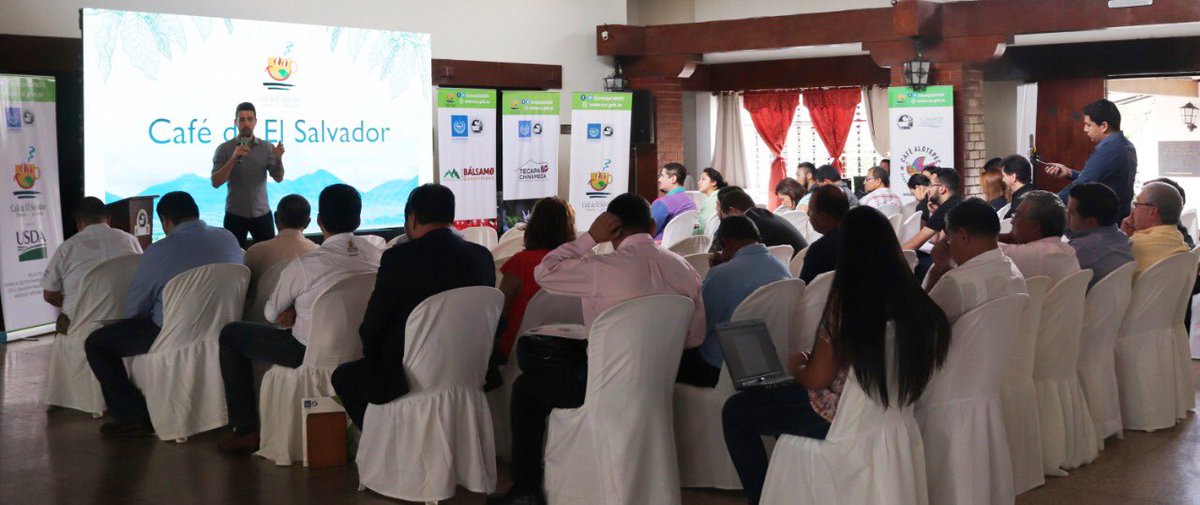 ConsejoCafeSV's tweet photo. #DirectorCSC Finaliza conferencia de especialista brasileño @diogobianchi Oportunidades para #CaféDeElSalvador en mercado #Suramérica (países no productores). @ConsejoCafeSV en la gestión de mercados alternativos con creciente consumo para lograr mejores precios al sector https://t.co/dschCsjKtP