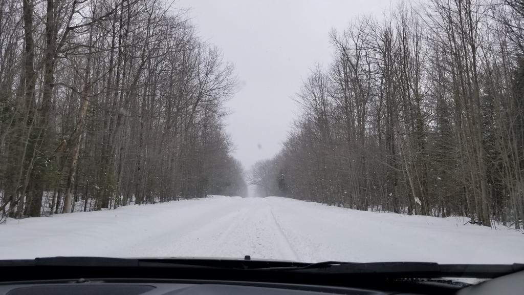 This is the road I found Larry on a few days ago. It was clear then, not the case today. We took it on our way home just in case. 