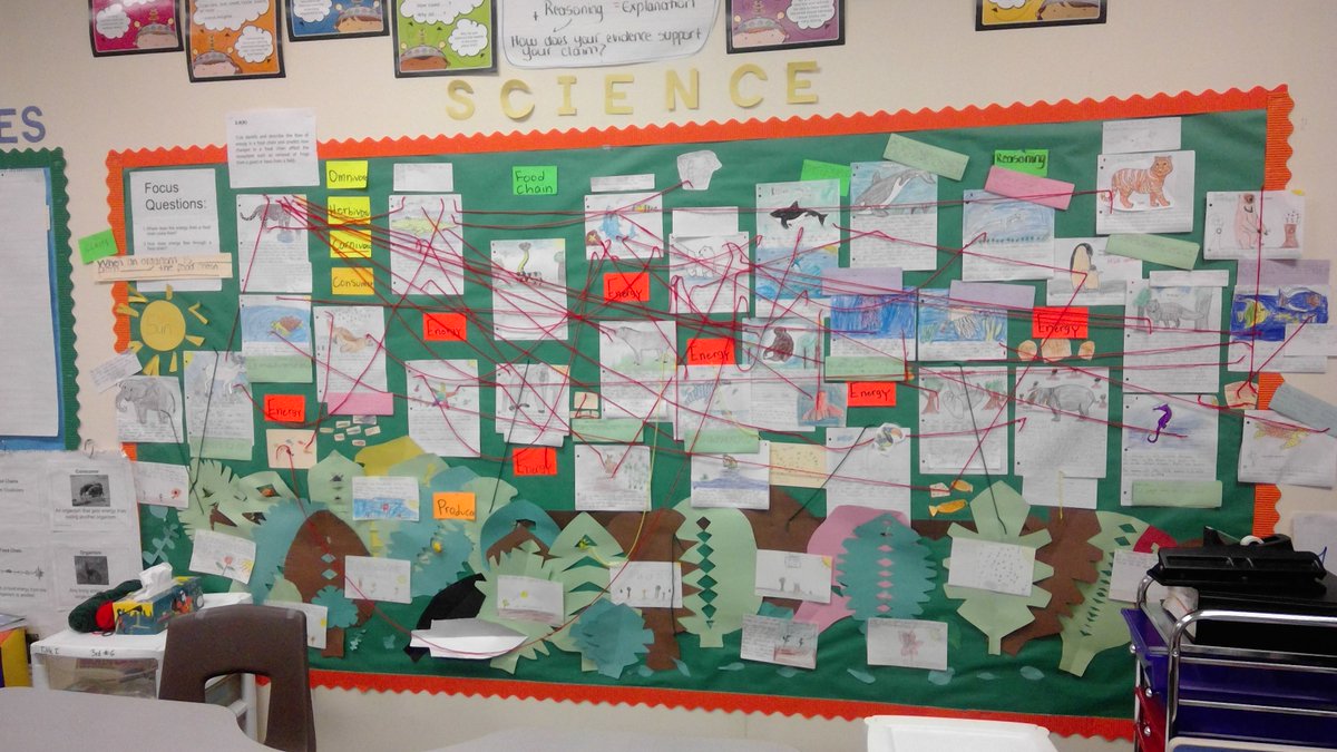 HearneStem's tweet photo. Food Webs and CER in Ms. Plazas's 3rd grade classroom.
@hearnehusky https://t.co/k50glyMKDT