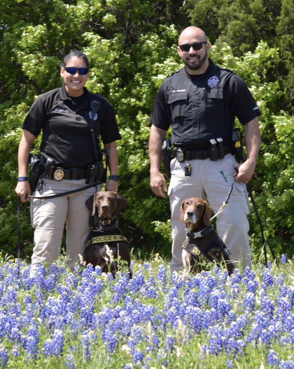 DallasPD's tweet photo. Our @DallasLoveField #K9 Unit with Major Herrera &amp; Major @DPDSchultz #BackTheBluebonnets #TexasBluebonnets #StateFlower https://t.co/voY83dxzjb