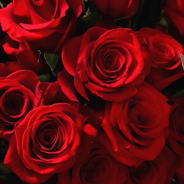 sneak peek at fgny bridal fashion week .... can you say 🌹🌹🌹🌹🌹🌹🌹🌹🌹🌹🌹🌹🌹?😉#nybfw #fgnybridal #redroses #fashionweek #bridalfashionweek
