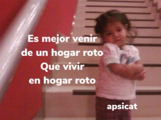 apsicat's tweet image. 