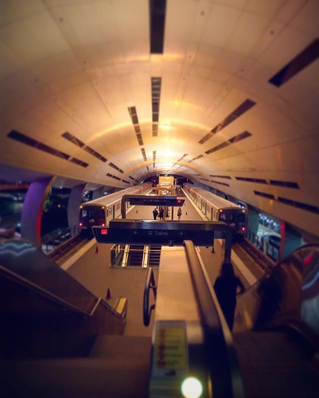 Andreskite's tweet photo. Estación bonita por acá.
2 trenes, una estación. https://t.co/VfYHNE1VzL https://t.co/tBxWHr5Qul