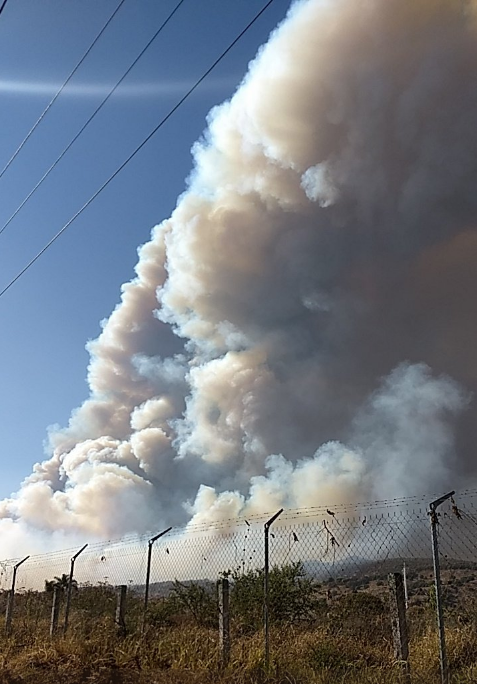 nmasguadalajara's tweet photo. Asi lo tuiteo @PCJalisco

 helicópteros Witari, Tlaloc, Halcón y Zeus, estarán trabajando sobre la zonas de Bosques de Santa Anita, El Origen, La Rioja, El Palomar, San Martín del Tajo, necesitaremos mucha agua, si tienes una alberca o vives cerca de algún club deportivo, https://t.co/P3UkjxqTNL
