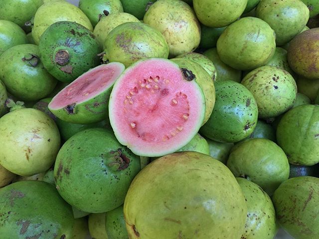 No Filter for #RedlandGuava straight from Homestead’s Redland. #RedlandRaised #FreshFromFlorida #MiamiGuava #MiamiFruit #FloridaGuava #GuavoniaGuava #GuavaLovers bit.ly/2v1ImSi