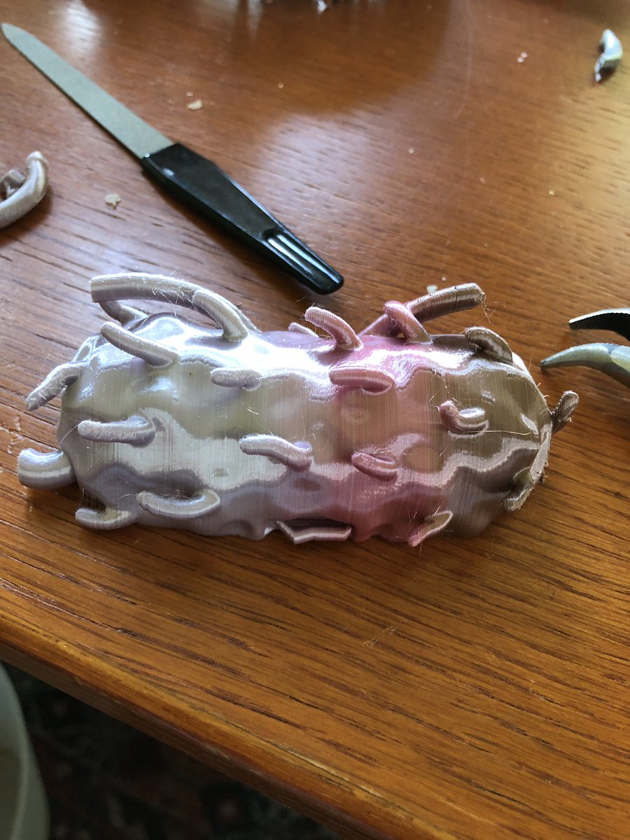 markowenmartin's tweet photo. So much 3D printed #MicrobialGoodness @univpugetsound @ASMicrobiology https://t.co/3CLcFfW0gC