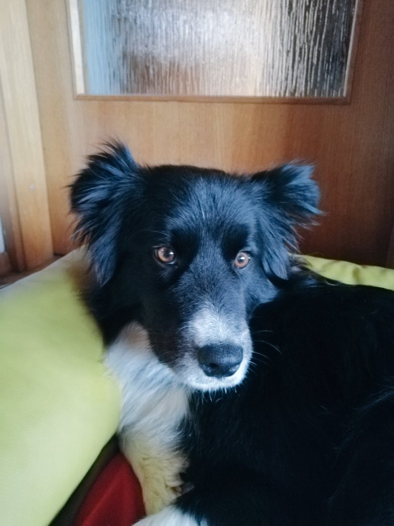 MonnyMonika's tweet photo. My beautiful girl😍 https://t.co/BdUPlBda8n