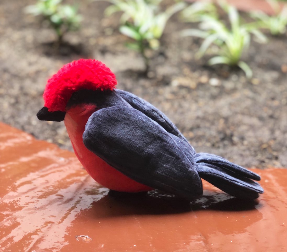 mario_sabato's tweet photo. Les presento a Spectaculum, la mascota de nuestro evento 😁😁!!! @victorhugopenag @SpectaculumGF @Parcafeoficial https://t.co/SY1prVp3Yh
