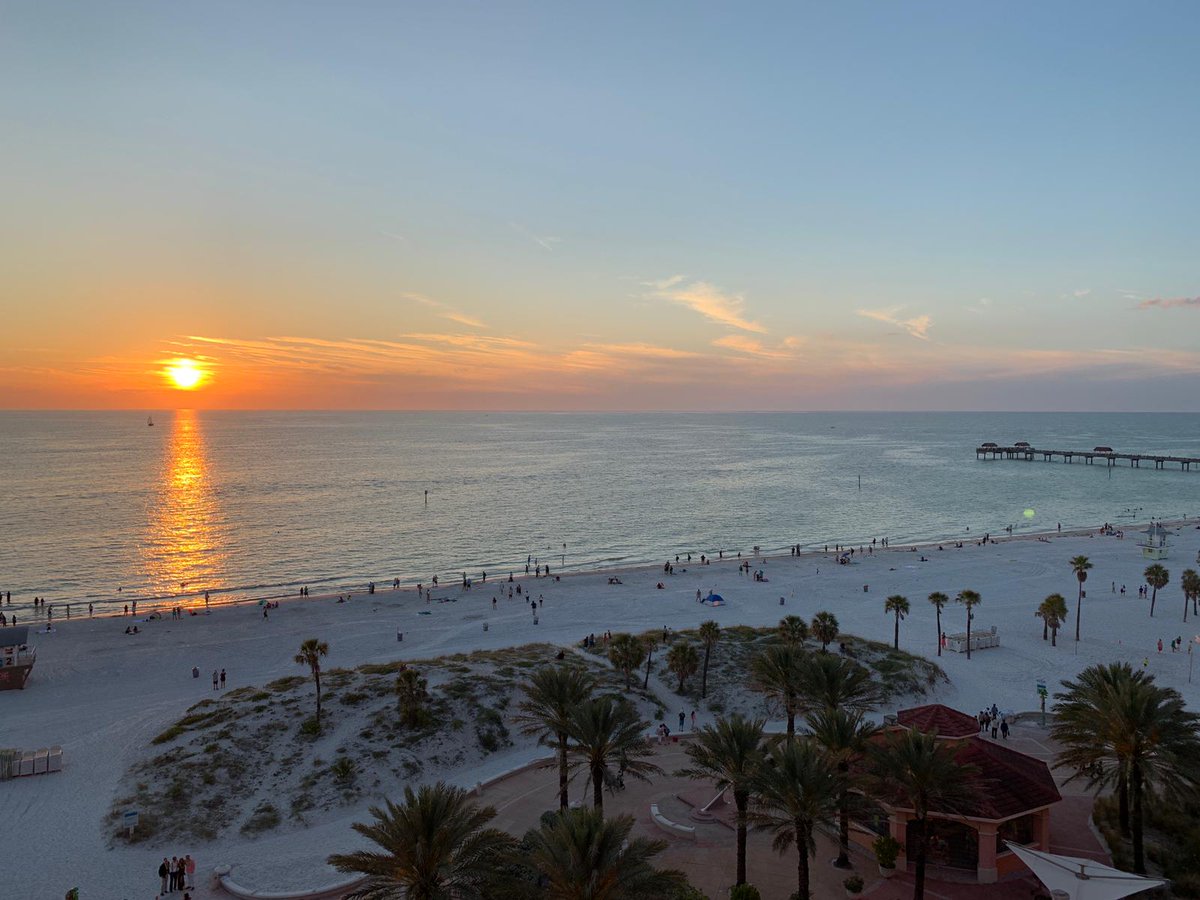 VISITFLORIDA's tweet photo. Goodnight from the @HyattClearwater! @VSPC #LoveFL https://t.co/slMYVNcoXv