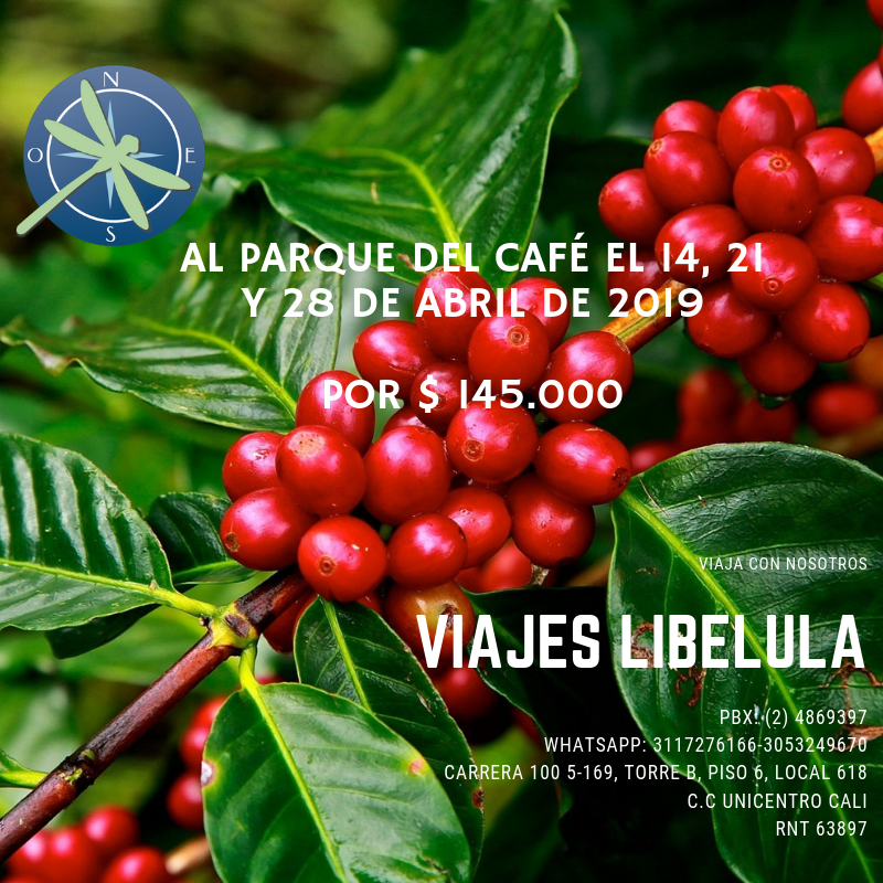 ViajesLibelula's tweet photo. https://t.co/4wiEVVjS86