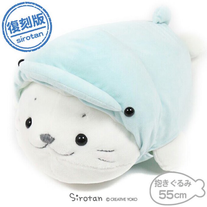 100 Epic Bestしろたん 壁紙 シンプル 最高の花の画像