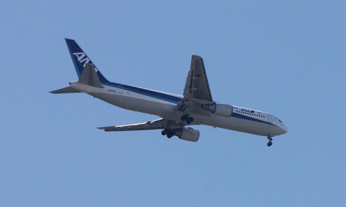 kcmbpmo's tweet photo. JL475 (HND-TAK) B738  JA306J
C15235 (SEA-TPE) B744 B-18725
NH531 (HND-TAK) B763  JA8342
GK411 (NRT-TAK) A320 JA22JJ
今日は霞も少なくていいお天気だから 朝から撮ってみた( ¨̮ )
関空にホヌくん来てるね🐢💙
見に行きたかった･･･( .. ) https://t.co/B9Axdp1uEX