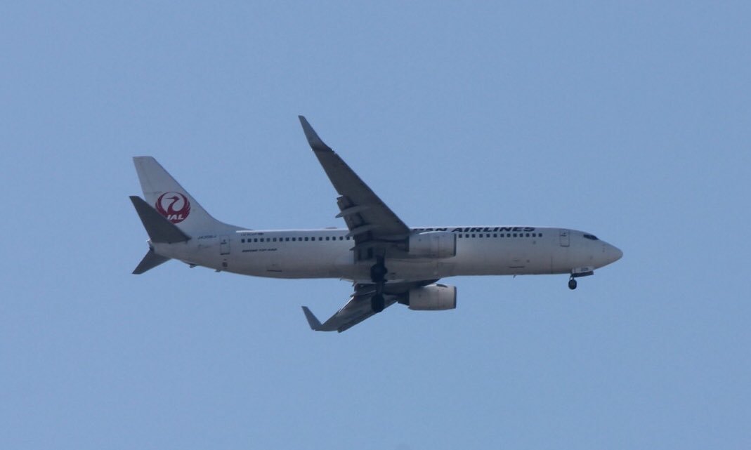kcmbpmo's tweet photo. JL475 (HND-TAK) B738  JA306J
C15235 (SEA-TPE) B744 B-18725
NH531 (HND-TAK) B763  JA8342
GK411 (NRT-TAK) A320 JA22JJ
今日は霞も少なくていいお天気だから 朝から撮ってみた( ¨̮ )
関空にホヌくん来てるね🐢💙
見に行きたかった･･･( .. ) https://t.co/B9Axdp1uEX