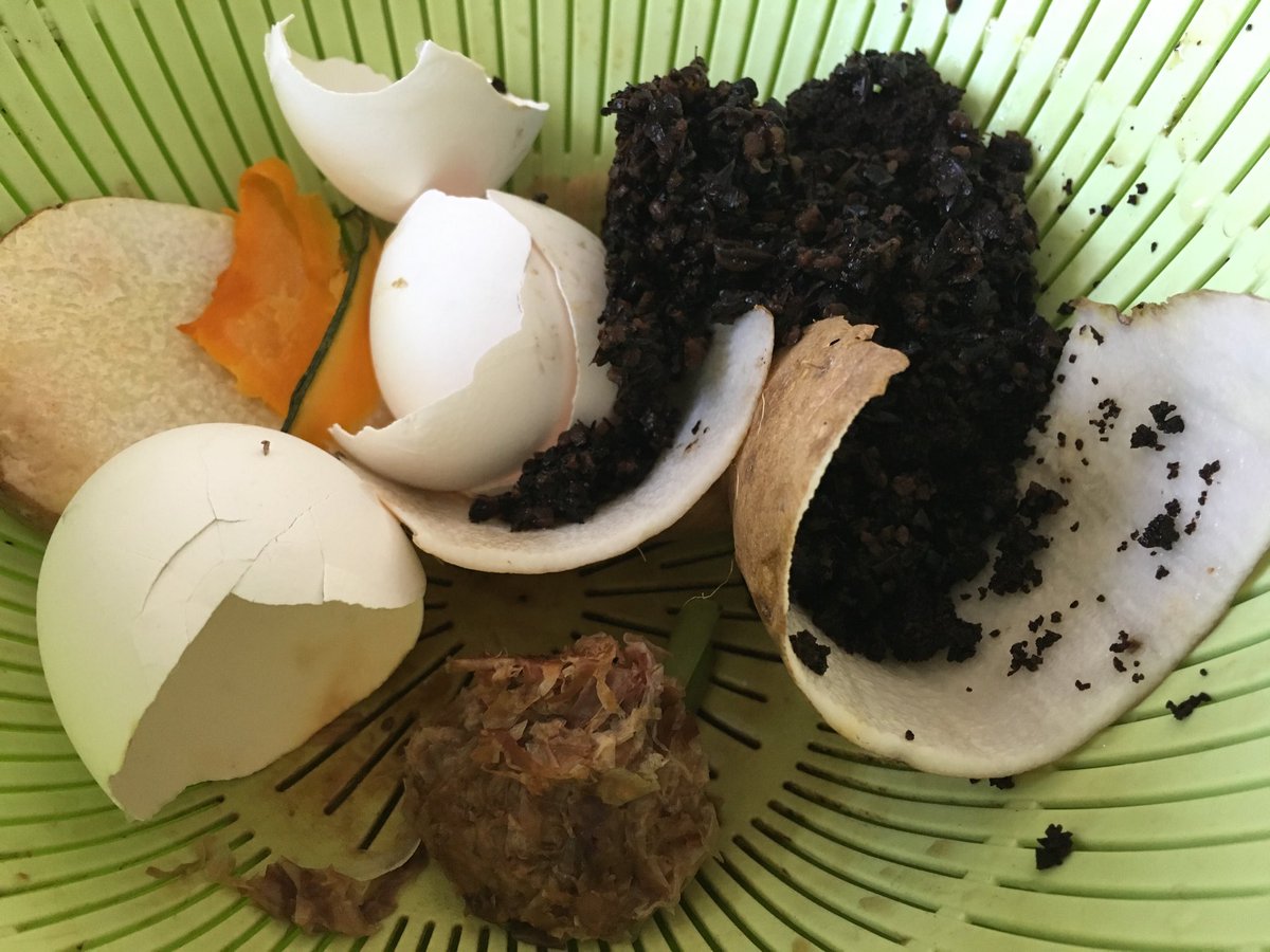 GomiKitchen's tweet photo. きょうの生ゴミ143g
卵の殻、長イモ、コーヒー豆、麦茶、かぼちゃ
#compost
#コンポスト
#kitchengarbage
https://t.co/ayPc6xlHkx https://t.co/JyFlrk7714