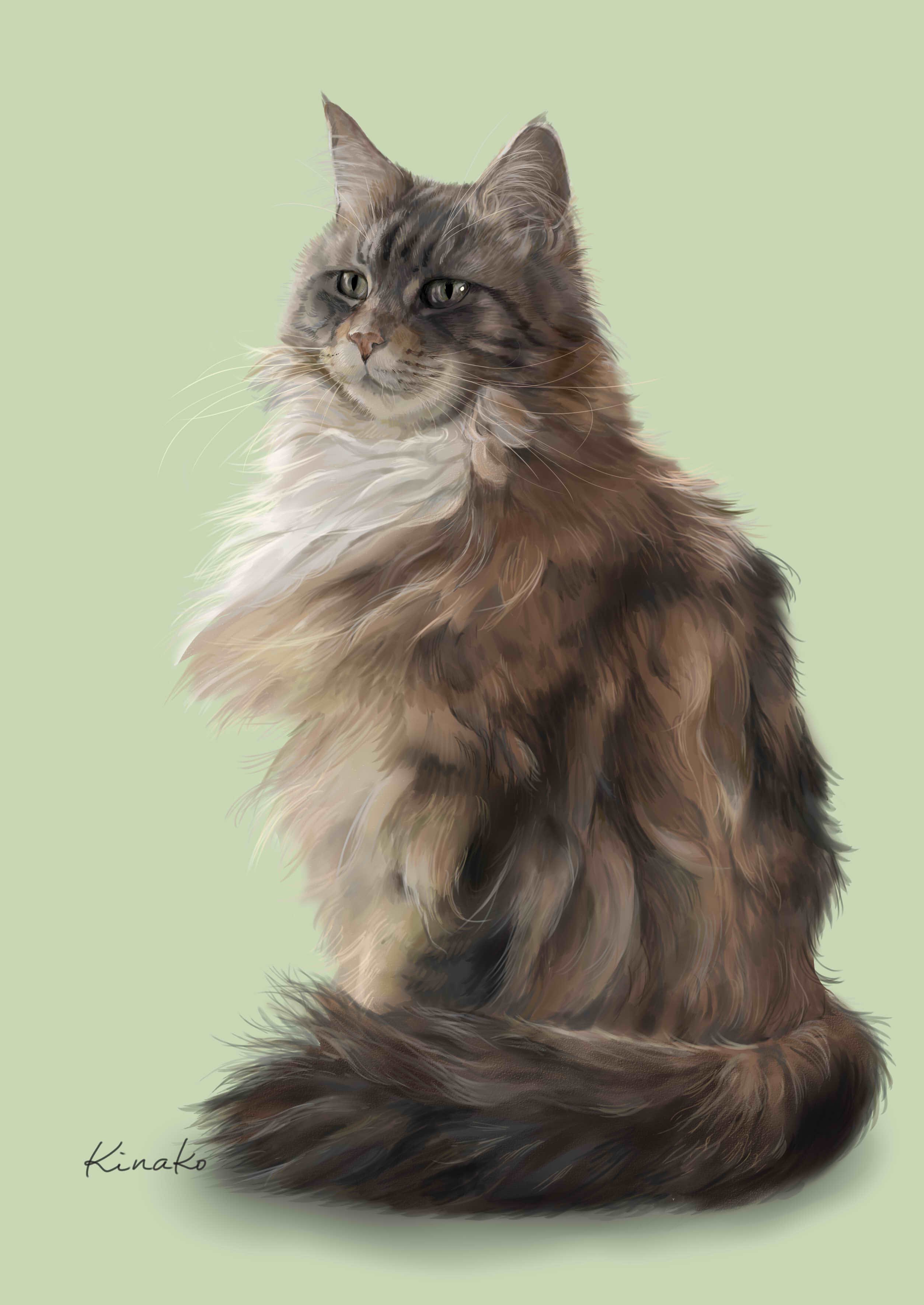 きなこ 猫の絵を描いています 神々しいまでの威厳 ルカ様 たぶん 10歳のお誕生日迎えました おめでとう 小さいと 写真 って言われることがあるので 拡大したものものせてみました 絵です 猫絵 Cat Drawing 猫