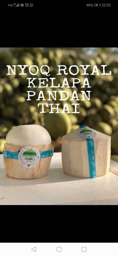 AbOpenang's tweet photo. Pekena Nyok Royal Kelapa Pandan  waktu  panas lit lit ni memang nyaman &amp; menyejukkan tekak.😎😎😎
Coconut ball gedik gedik memang istimewa😋😋😋.
Nak try??  Jom pi 🤗🤗#penangFAMAFest  pd 26 - 28 April di Butik Sumber Rezeki Baru.
@mustahapa 
@FAMA_Malaysia 
@famapulaupinang https://t.co/ZcBgL9idWH