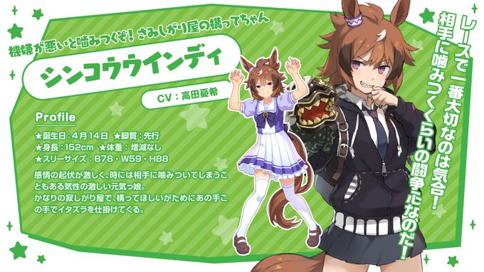 アバンティー Avanti ぬいぐるみ シンコウウインディ Www Munijesus Gob Pe