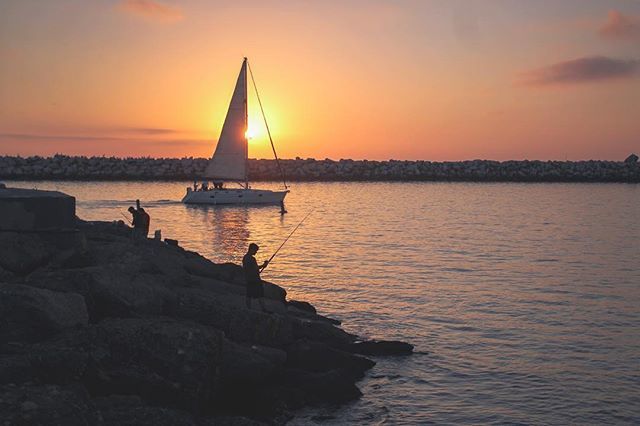 TrojanEditor's tweet photo. Fishing.
•
•
•
#fbf #flashbackfriday #fishing #fishinglife #sunset #whatasunset #magichour #ocean #pacificocean #marinadelrey #marina #socal #southerncalifornia #naturephotography #howiquickshot #canon #canonphotography https://t.co/iYE60ZHT9u https://t.co/8ih4yFwNTr