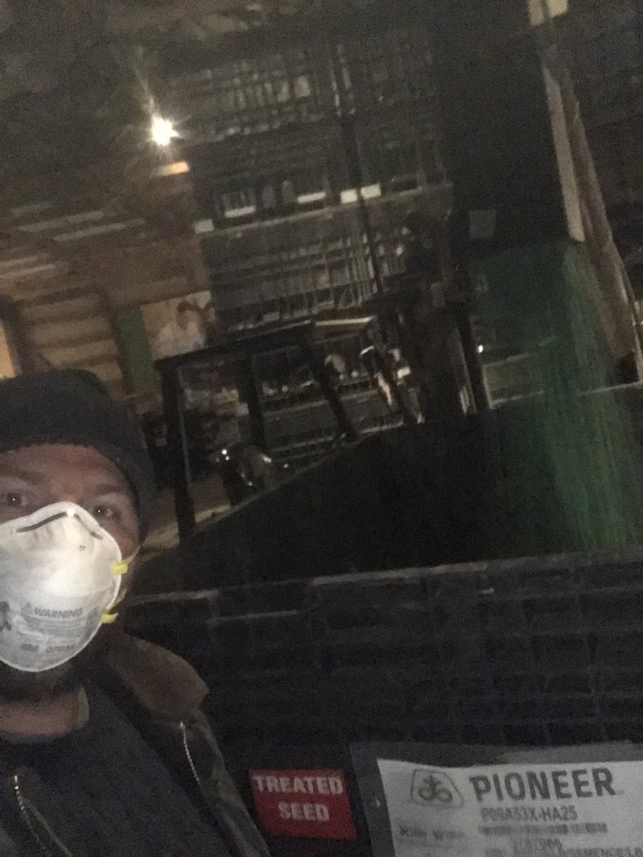 Applying optimize to a Green stream of plot winning dreams #Pioneer #P09A53x #getsome #afterhours #livingthedream