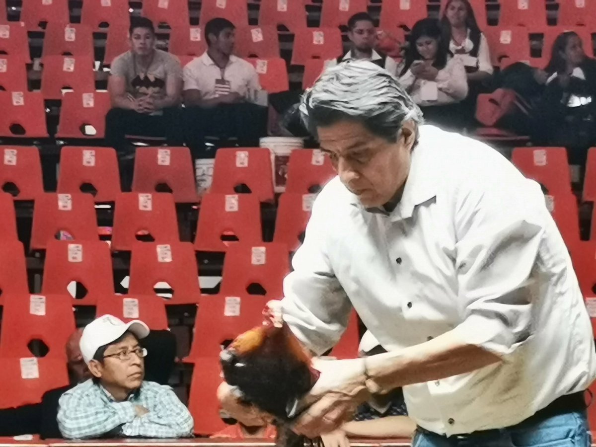 PueblaPalenque's tweet photo. Han iniciado las peleas en el redondel poblano, recuerda que el acceso es GRATUITO desde las 4 de la tarde cada día de VARIEDAD, (viérnes y sábados de feria) https://t.co/aLZsY5IxvV