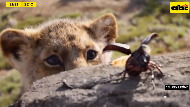 ABCTVpy's tweet photo. Disney presentó el primer tráiler de la nueva versión del clásico animado “El Rey León”, que llegará a los cines en julio.
#AntesQueArda🔥 #LaPreviaPy
📲 Seguinos en https://t.co/ZvwJlbwdHn #ABCTVpy https://t.co/eHrCS0k0up