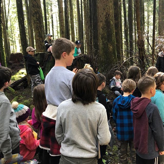 Today was all about the forest beyond the fence, and it was awesome! Thank you, forest, for all that you taught us. 🌿💚 #kwantlenterritory #outdoored #learningfromtheland