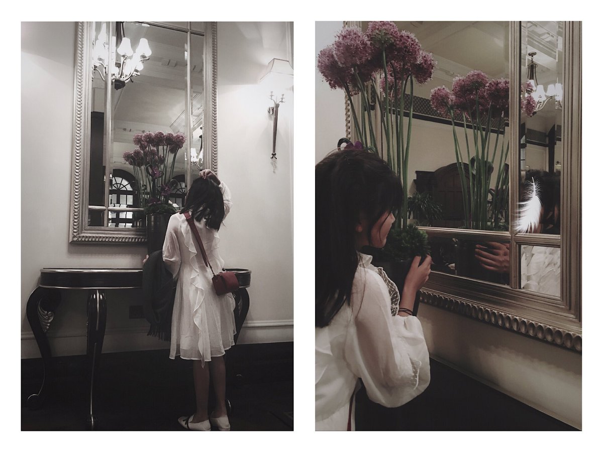 Cielolestat's tweet photo. https://t.co/oY9rUkeXXs