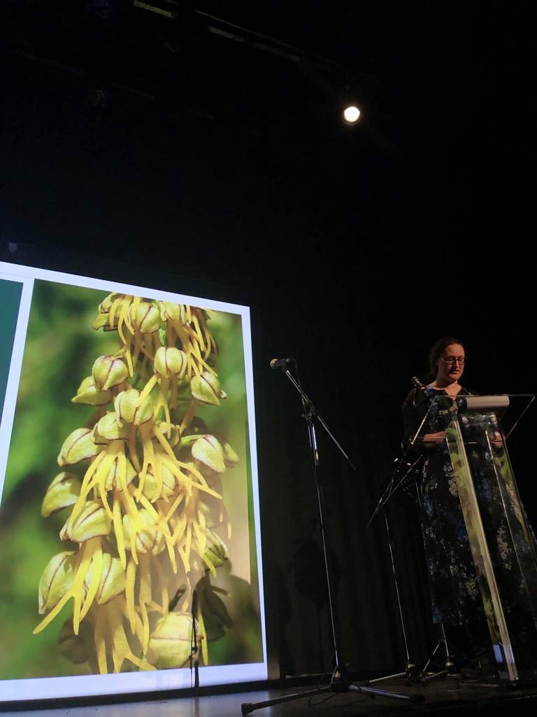 SerpentineUK's tweet photo. PLANTSEX highlights, an evening of talks, screenings & performances on the relationship between botany and eroticism in collaboration with @ifru_london &
@mal_journal! @lpietroiusti @tweetfilipa #emanuelecoccia @ltotelin #alexcecchetti @SinforVictory @jennasutela #generalecology https://t.co/zZWB8hjPdW