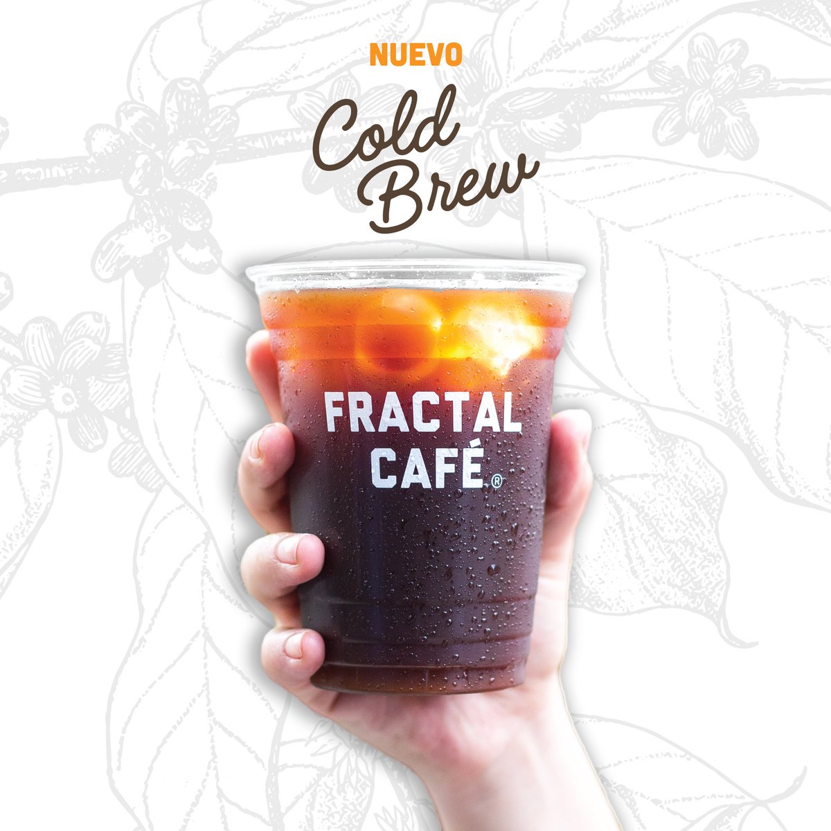 Nuevo Cold Brew Fractal:
Café de pequeños productores de Coatepec + 10 horas de extracción en frío. 
¿Quién ya lo probó? 👌🏼
