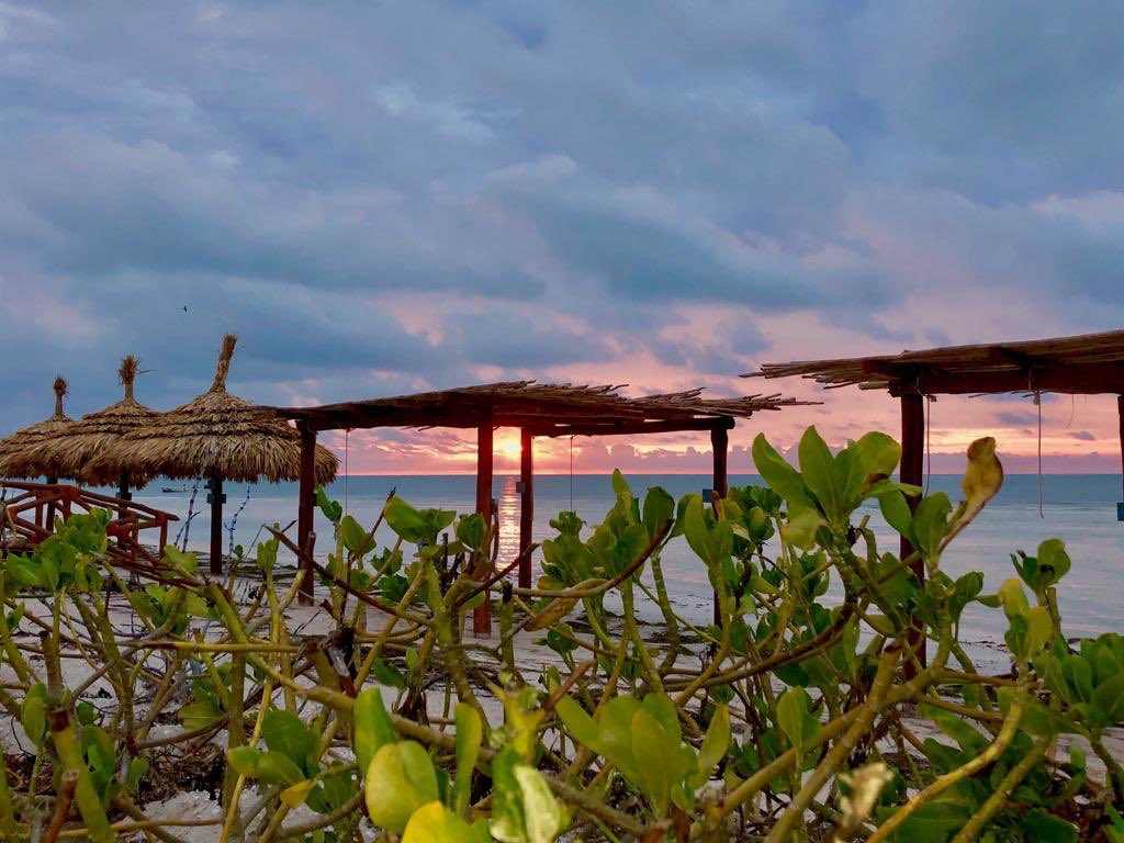 AldeaKuka's tweet photo. Never go too long without watching a #sunset
.
.
.
.
#paradise #luxurylifestyle #travel #visitmexico https://t.co/AuaqsbGm6H