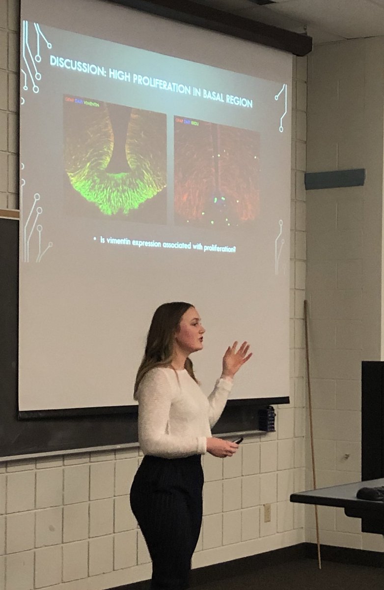 VickaryousLab's tweet photo. Remarkable research by spectacular students studying gecko greatness. Congratulations Twitterless Manali and @CardiChlo - #HealingHearts and #ReproducingRadialGlia #PrideInTheEublephosphere https://t.co/V7bkRtvyMt