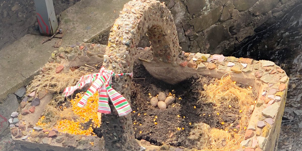 Spring Creek Lodi WI tweet media