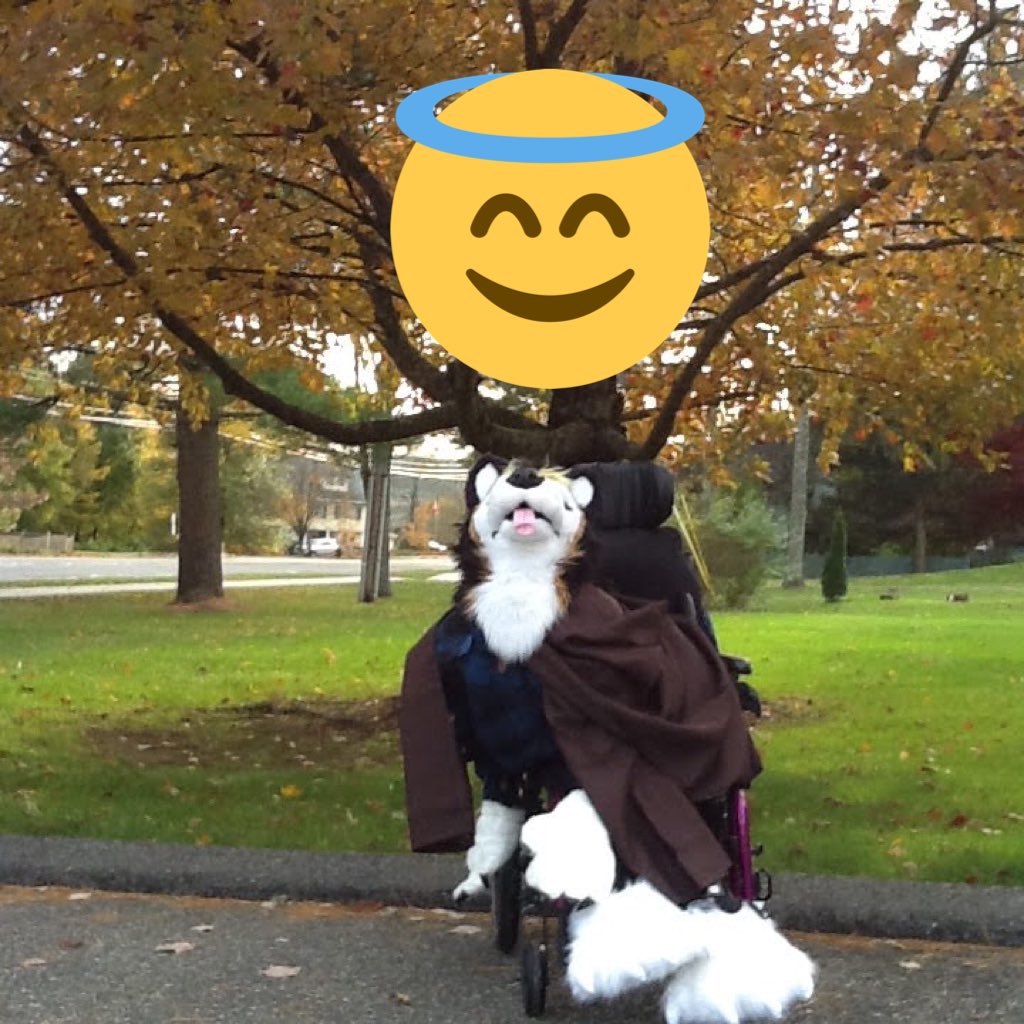 AutumnWuffy's tweet photo. #Dogbomb #AToastForDogbomb #TeamTonyALS #ALSCanKissMyFuzzyButt #dogbomb1 #als #AllDogsGoToHeaven #furry #furryfriendfriday #furryfandom #furries #DogbombArt even though the artwork isn't ready I hope this will do @dogbomb1 along with what I wrote above. I'll be howling at&for ya https://t.co/FDqrHiMSOp