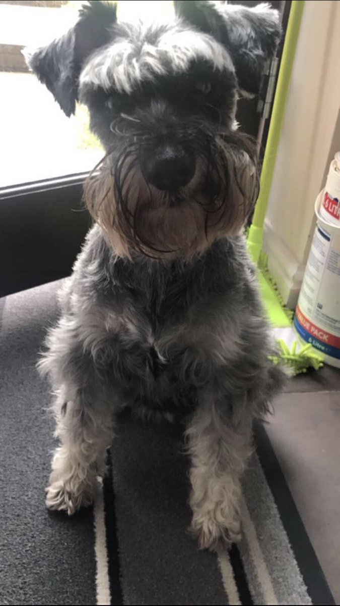 Den Was The Menace tweet media