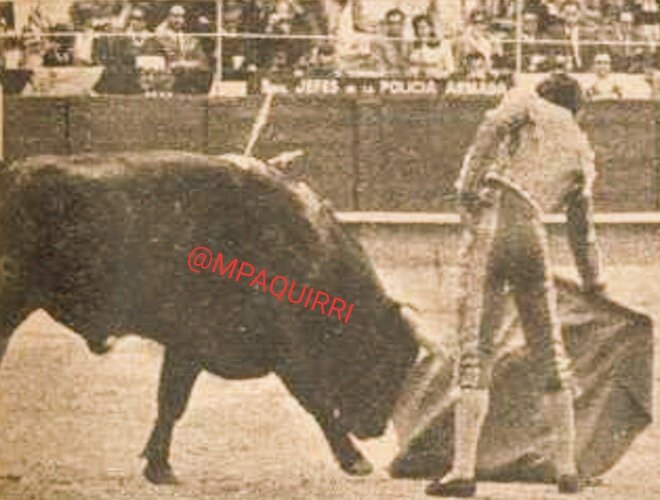 MPAQUIRRI's tweet photo. (2/2)
#RecordandoAPaquirri
DERECHAZO DE #MiHeroe ESA TARDE. PACO Y LA MULETA.....👌🏼👌🏼
TOROS DE #AtanasioFernandez Y #Campocerrado https://t.co/HyNZEtXINm