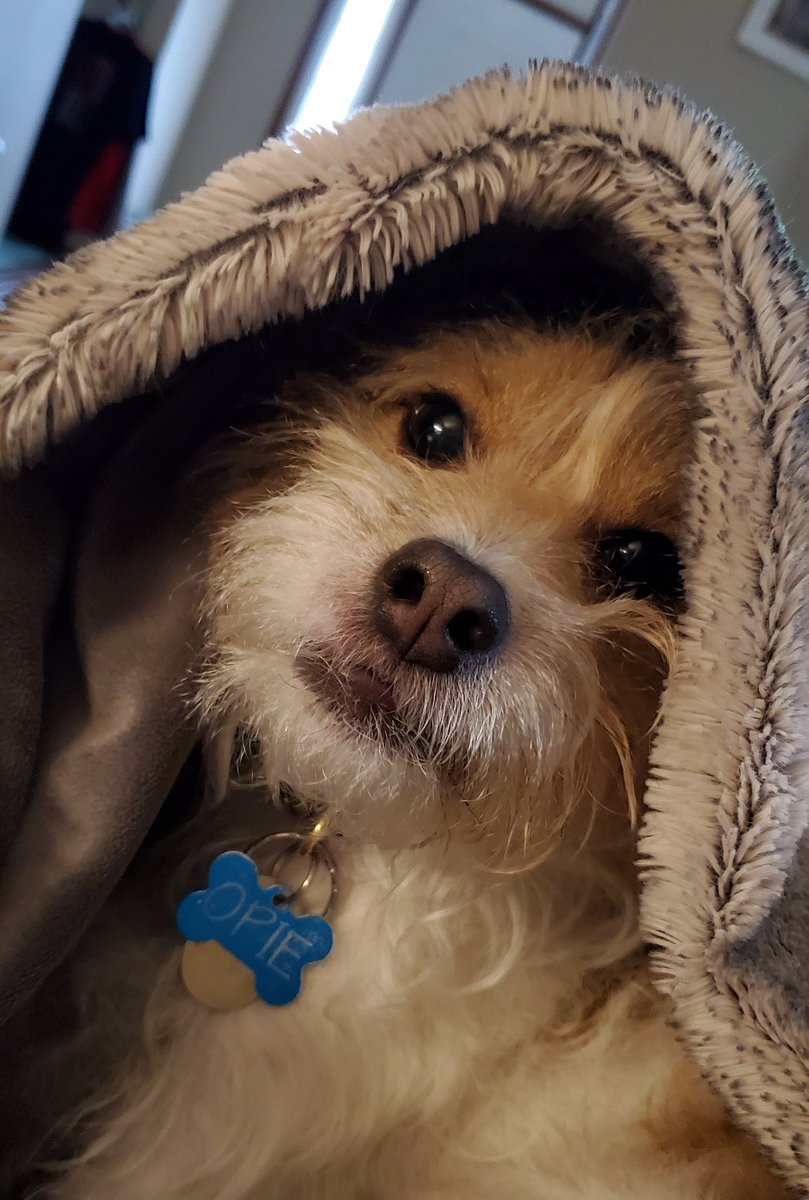 hannahz_19's tweet photo. obi-wan ken𝘰𝘱𝘪𝘦 https://t.co/5YJfSv4Kj7
