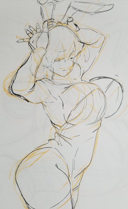 絵の描き方みたいなのをよく聞かれるからあれですけど

調子が良くないときは
1枚目みたいなざっくりとしたラフをとって
2枚目で位置とか比率を直して
3枚目で細かい所を整えてくみたいな感じですな

調子がいいときは1枚目みたいのは描かない 