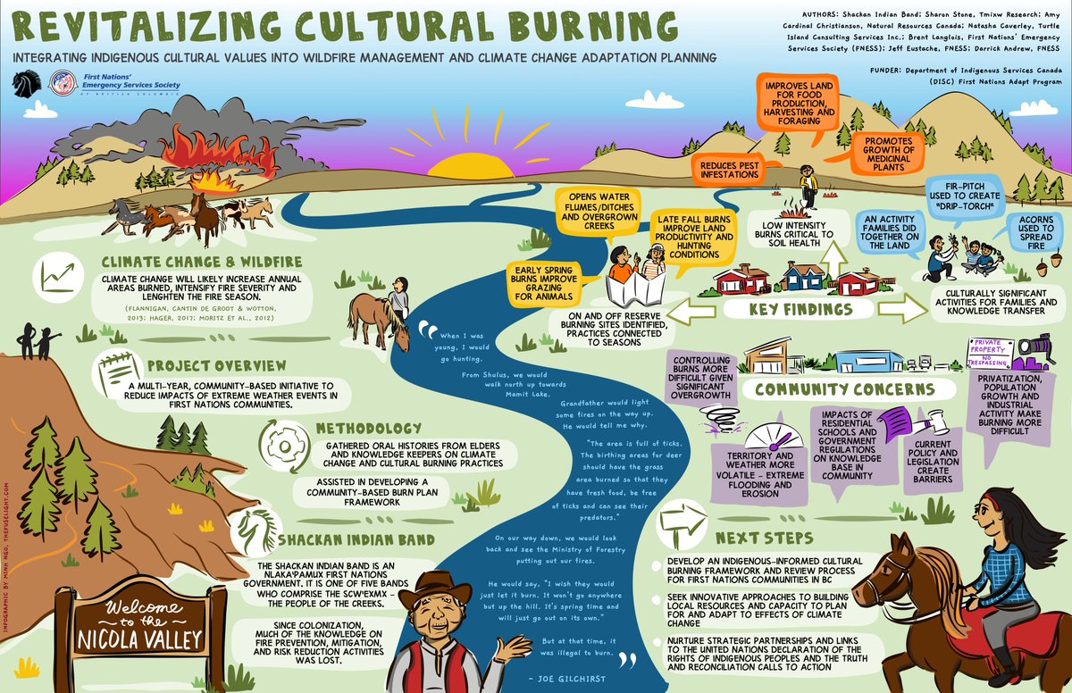 In honour of Shackan's burn last week, I'm happy to share this infographic on Shackan Indian Band's effort to revitalize cultural burning practices! @LennardJ @fnessinfo1 #culturalburn #goodfire #Indigenousknowledge